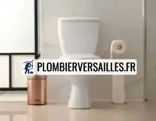 Remplacement de wc Versailles